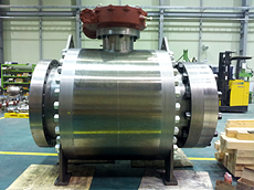 Ball Valve