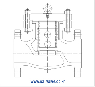 Pistion Check Valve