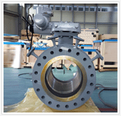 Trunnion