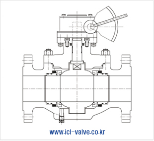 Top Entry Valve